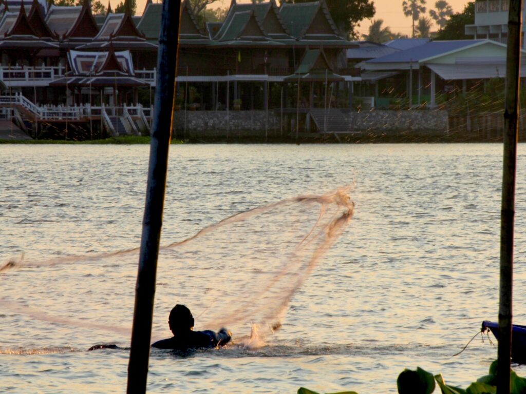 Casting a net in the Chao Phraya River