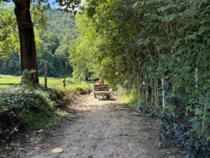 ride-a-tractor-racing-tiger-mountain-go-to-khao-kadai-ma-temple